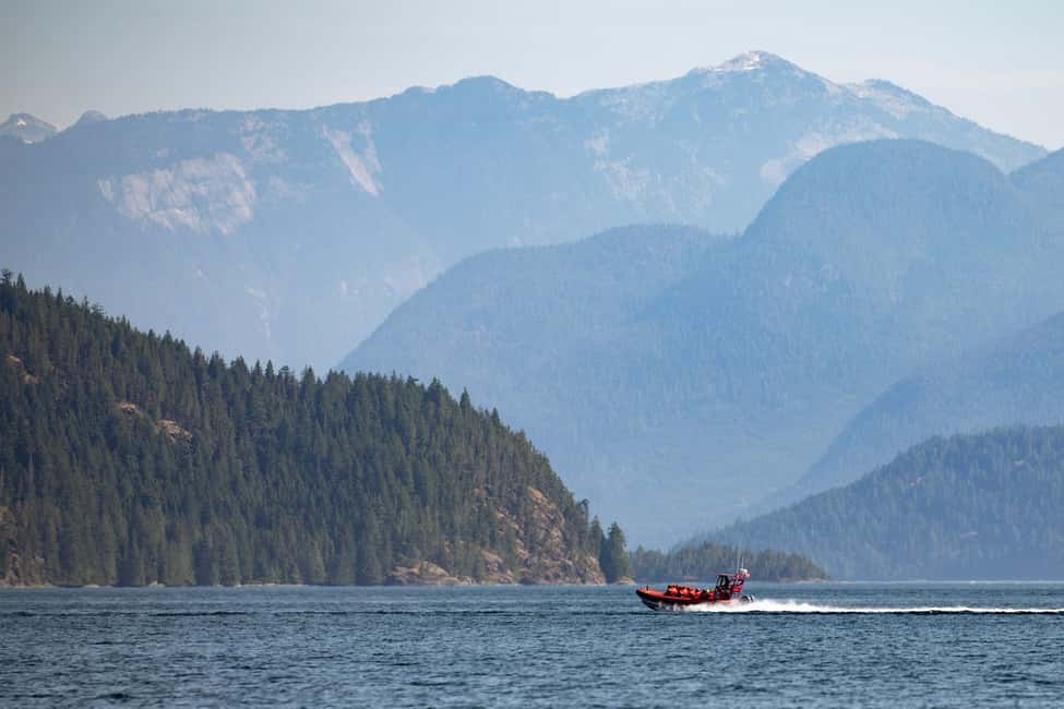 image n.10 of Campbell River: Whale & Wildlife Discovery Cruise activity in British Columbia, uploaded by supplier