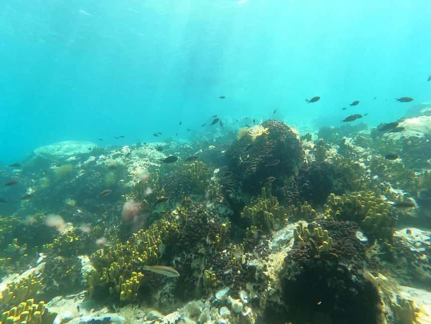 image n.4 of Chalkidiki: Snorkeling Adventure in Sithonia activity in Sithonia, uploaded by supplier