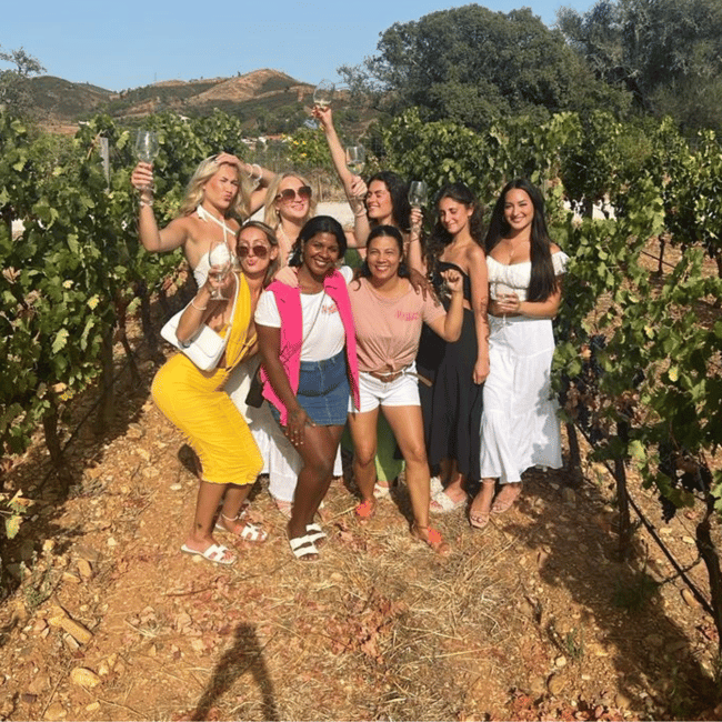 image n.7 of From Albufeira: Full-Day Wine Tasting Tour with a Guide activity in Monchique, uploaded by supplier
