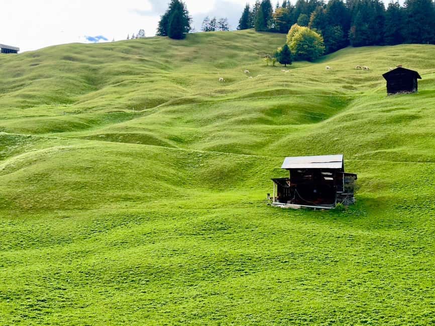 image n.50 of Best of Switzerland Bernese Oberland Day Trip with Cable Car activity in Canton Bern, uploaded by supplier