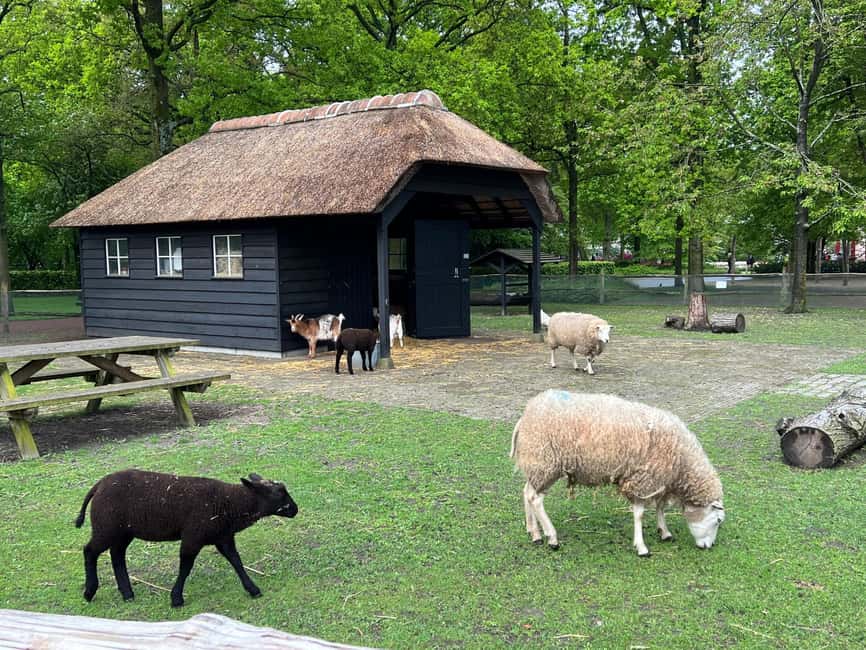 image n.23 of Amsterdam: Keukenhof Tulip Garden and Giethoorn Experience activity in Lisse, uploaded by supplier