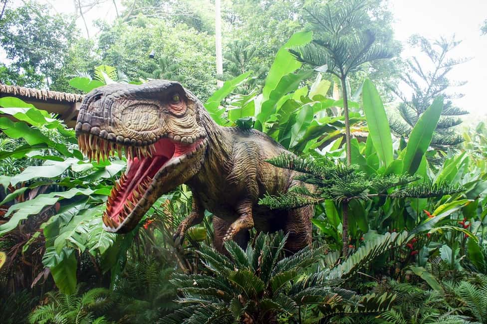image n.12 of Singapore: Zoo & Night Safari Combos with Hotel Pick & Drop activity in Singapore, uploaded by supplier