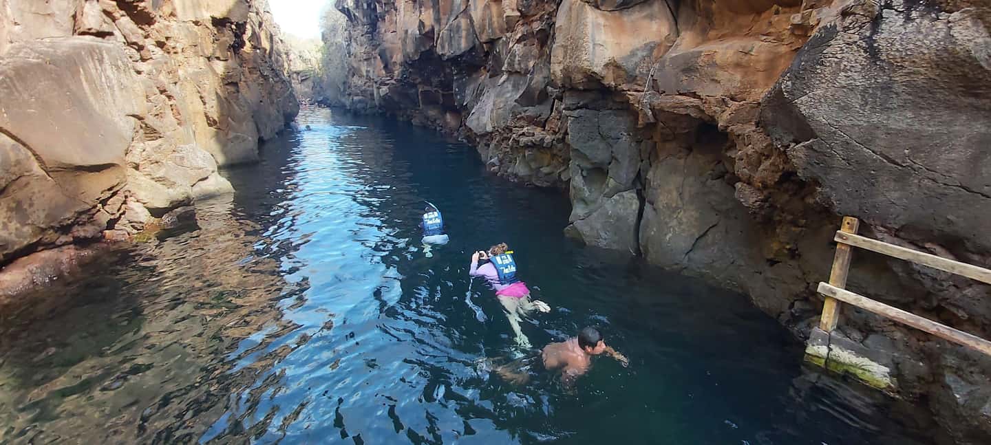 image n.3 of Half Day Bay Tour in Santa Cruz Island activity in Puerto Ayora, uploaded by supplier