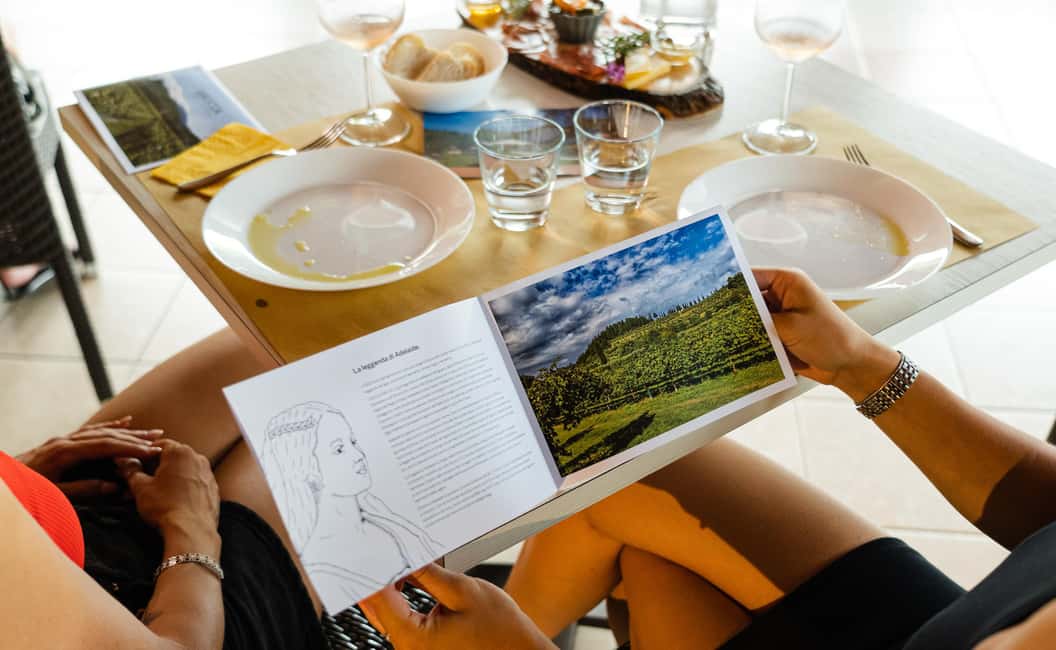 image n.15 of Bardolino: Vineyard Tour with Wine, Olive Oil & Food Tasting activity in Lombardy, uploaded by supplier