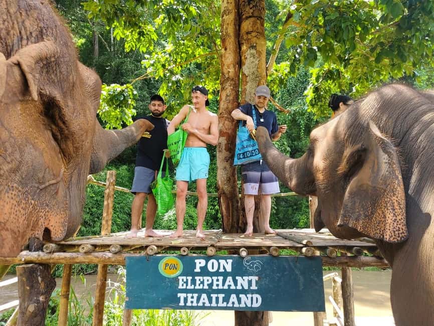 image n.47 of Chiang Mai: Elephant Sanctuary & Waterfall Group Tour activity in Chiang Mai, uploaded by supplier