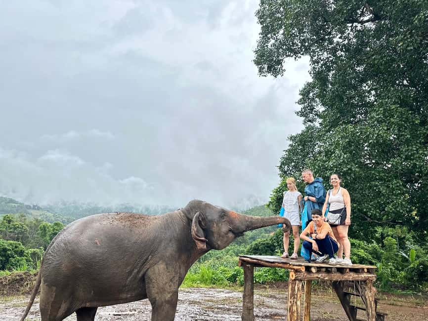 image n.10 of Chiang Mai: Elephant Sanctuary & Waterfall Group Tour activity in Chiang Mai, uploaded by supplier