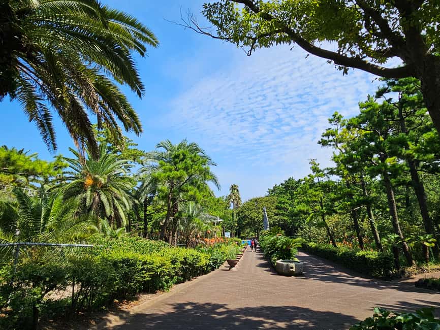 image n.26 of Jeju Island: Full-Day SouthWest Bus Tour with Entry Fees activity in Seogwipo-si, uploaded by supplier