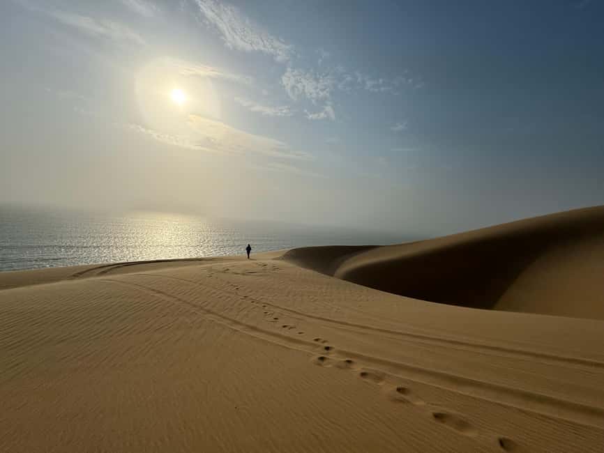 image n.33 of Walvisbay: Sandwich Harbour 4x4 Tour-Unparalleled Experience activity in Erongo, uploaded by supplier