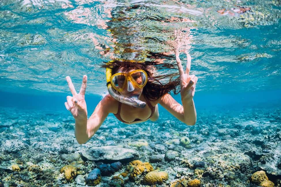 bild nr.8 av Mallorca: Fyrhjulingstur, snorkling och klipphoppning aktivitet i Palma de Mallorca, uppladdad av arrangören