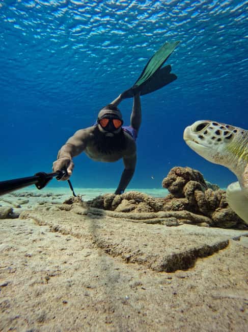 afbeelding n.6 van Curaçao: Playa Piskado Seabob Avontuur (Zeeschildpadden) activiteit in Curaçao, geüpload door aanbieder