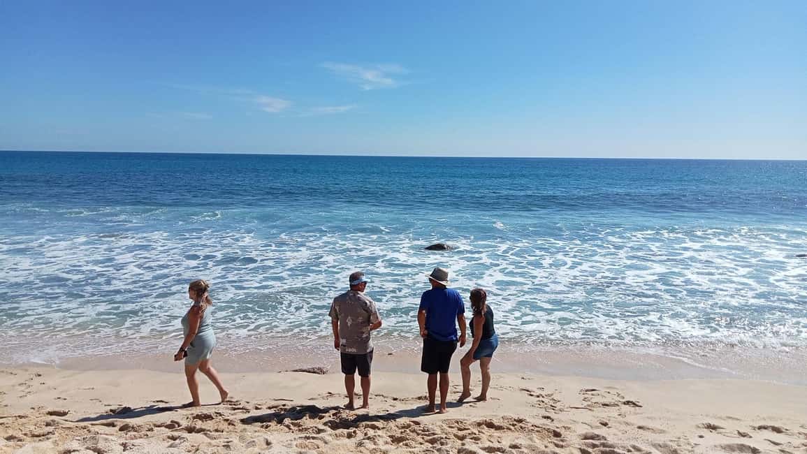 image n.14 of Incredible Private Tour to Todos Santos Magical Town activity in Cabo San Lucas, uploaded by supplier