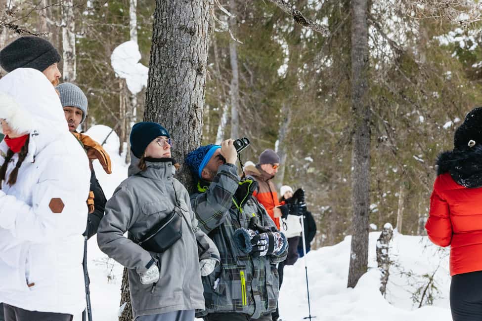 image n.14 of From Rovaniemi: Korouoma Canyon and Frozen Waterfalls Tour activity in Lapland, uploaded by supplier