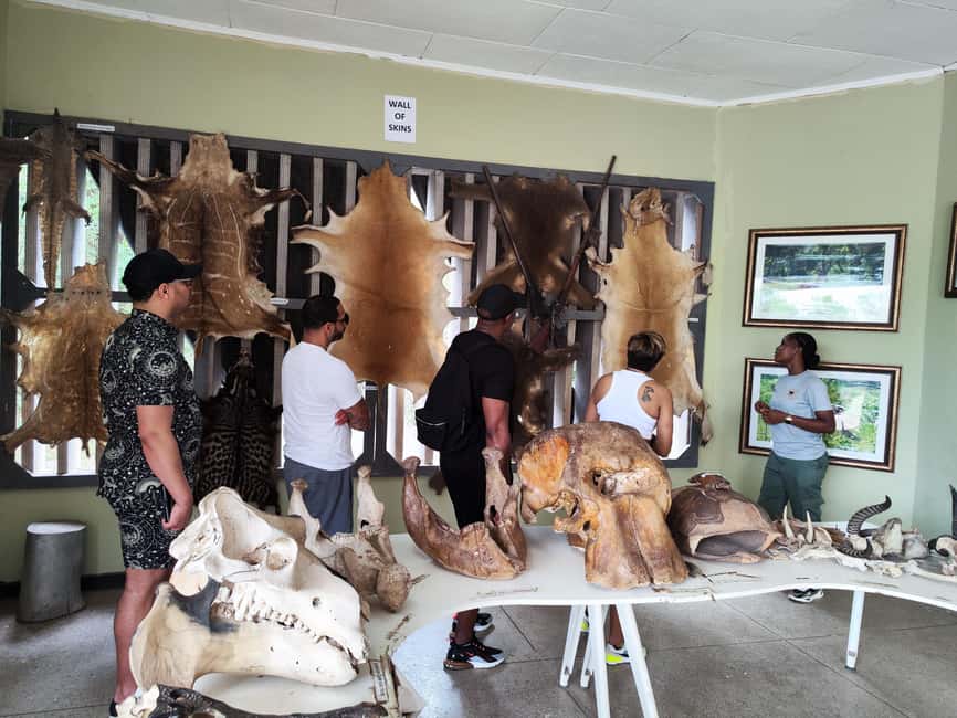 image n.4 of Accra: Half day private safari with pick up activity in Accra, uploaded by supplier