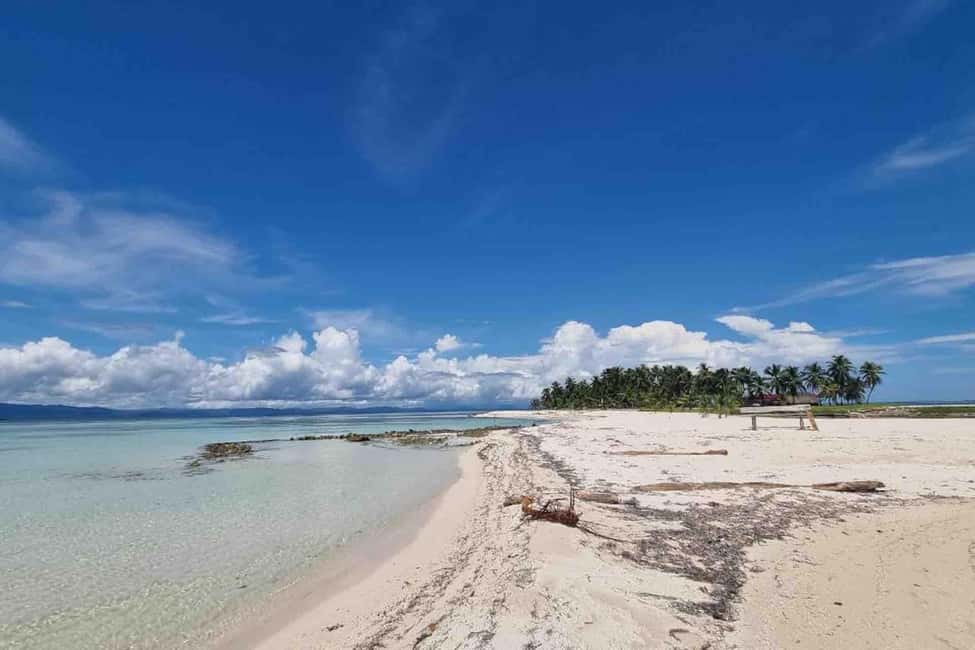 billede nr.25 af aktiviteten Panama City: Dagstur til San Blas-øen og New Paradise Island i San Blas-øerne, uploadet af udbyder
