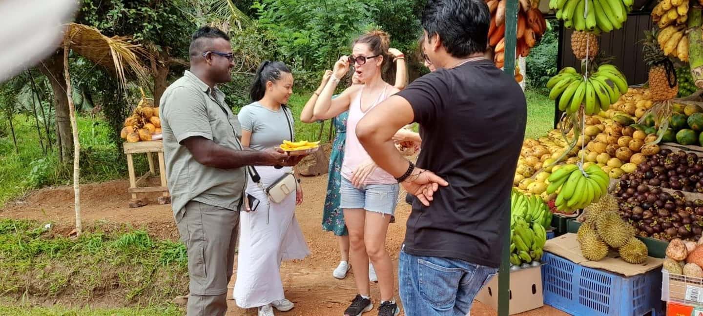 image n.45 of From Colombo: Sigiriya and Dambulla Day Trip and Safari activity in Sigiriya, uploaded by supplier
