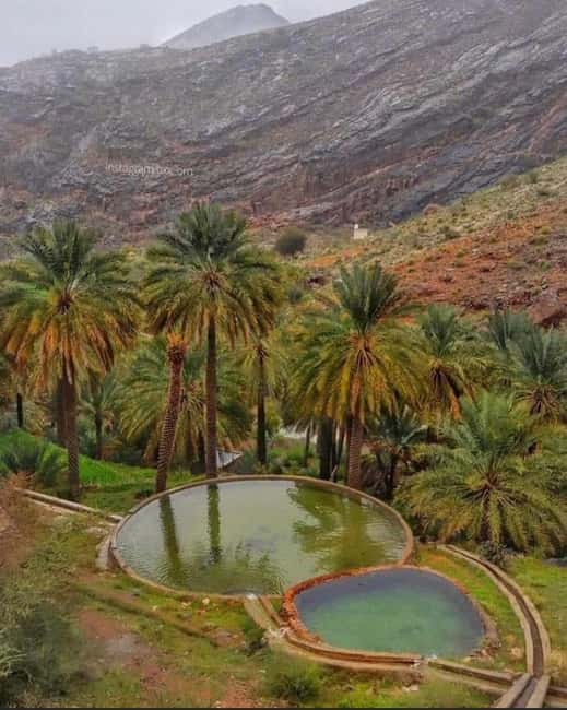 Immagine nº 48 di Avventura nel deserto di Wahiba , Nuoto nel Wadi Bani Khalid attività a Regione al-Sharqiyya, caricata dal fornitore