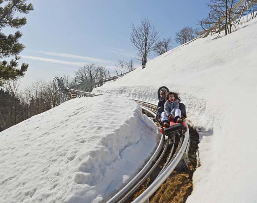 billede nr.4 af aktiviteten Stresa: Alpyland Alpine Coaster Ride på Mount Mottarone i Mottarone, uploadet af udbyder
