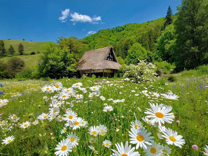 image n.9 of Nagoya: Hida Takayama and Shirakawa-go UNESCO Winter Trip activity in Shirakawa, uploaded by supplier