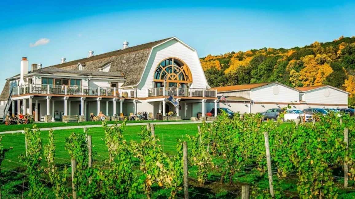 Manhattan: Millbrook Vineyards Winery Private Tour GetYourGuide