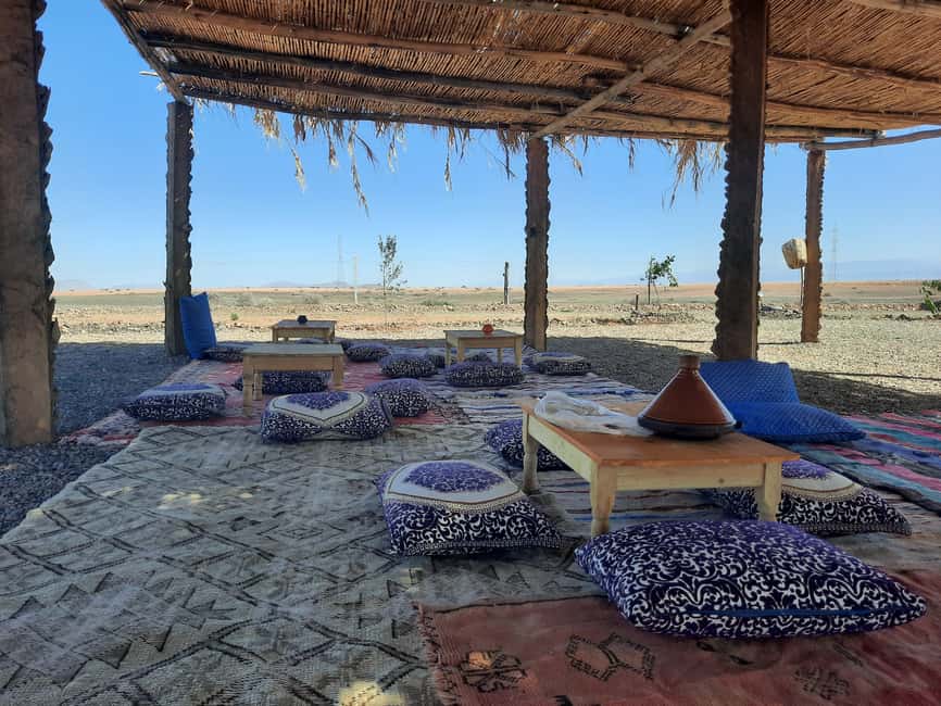 image n.14 of Marrakech: Quad Bike Tour to Palm Oasis and Jbilat Desert activity in Marrakesh, uploaded by supplier
