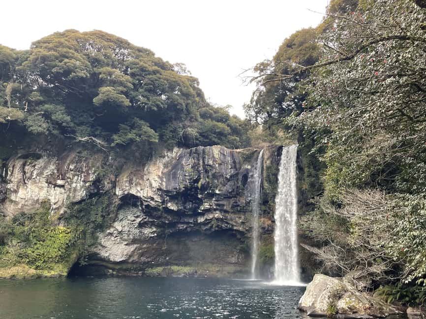 image n.2 of Seogwipo City(in Jeju Island) Walking Tours with Sunset activity in Seogwipo-si, uploaded by supplier