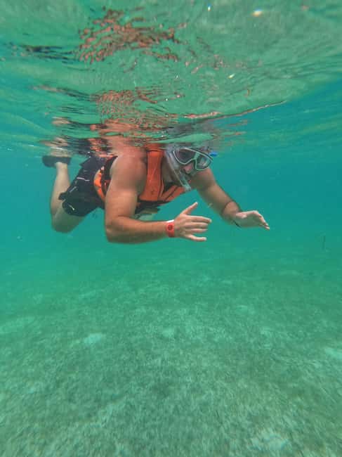afbeelding n.22 van Akumal: Snorkelen met zeeschildpadden en koralen activiteit in Akumal, geüpload door aanbieder