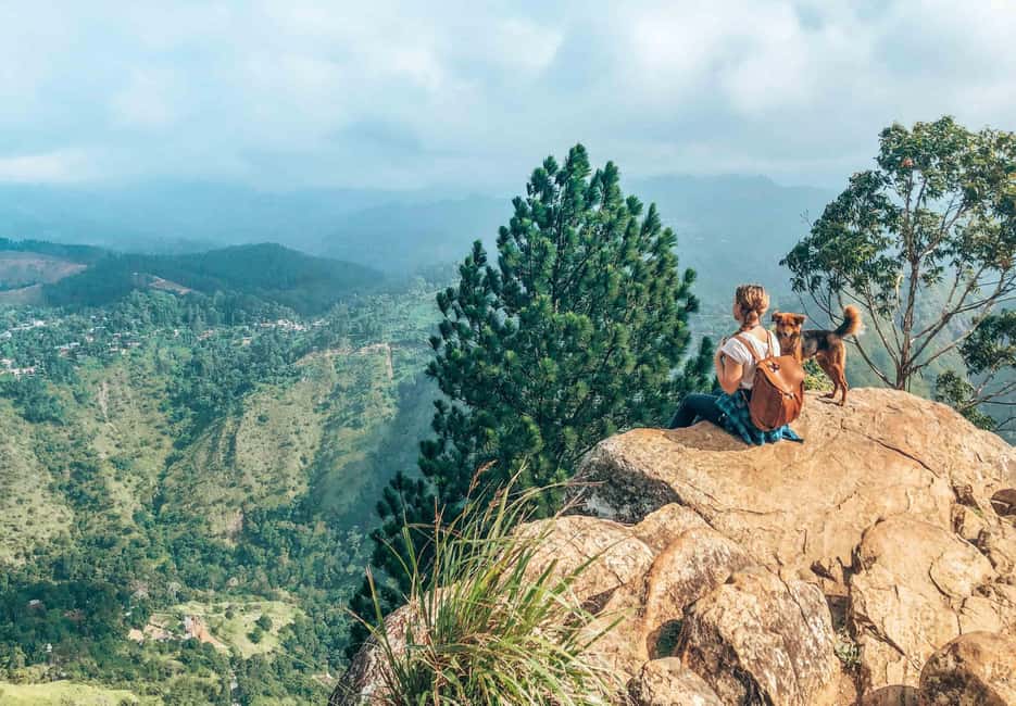 image n.9 of Kandy to Ella First Class Scenic Hill Country Train Journey activity in Mahanuvara, uploaded by supplier