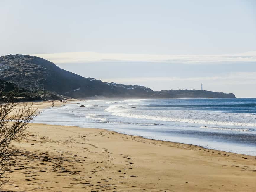 image n.6 of From Melbourne: Great Ocean Road, 12 Apostles, Wildlife Tour activity in Melbourne, uploaded by supplier