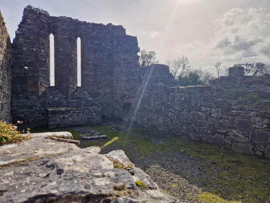 Obraz nr 18 z atrakcji Killarney: Rejs wycieczkowy na wyspę Innisfallen, jeziora Killarney w Munster, przesłany przez organizatora