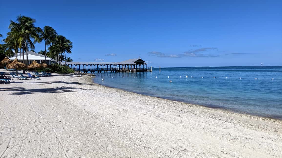imagen n.º 21 de Miami: Cayo Hueso con Excursión en Catamarán, Bebidas y Tiempo Libre actividad en Miami, subida por el proveedor