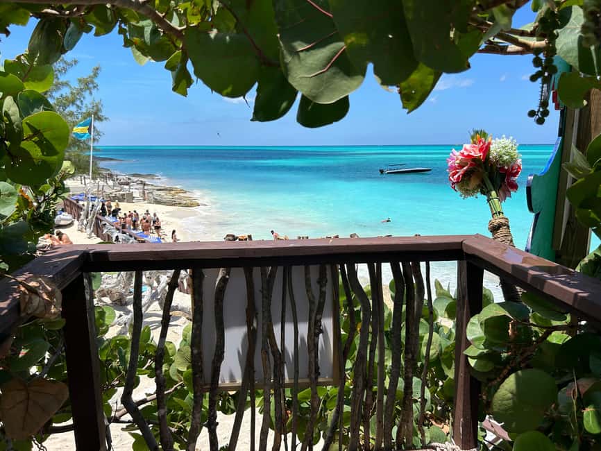Image N°86 de Nassau : Cochons, plongée en apnée, tortues, déjeuner, club de plage privé activité à New Providence, publiée par le prestataire