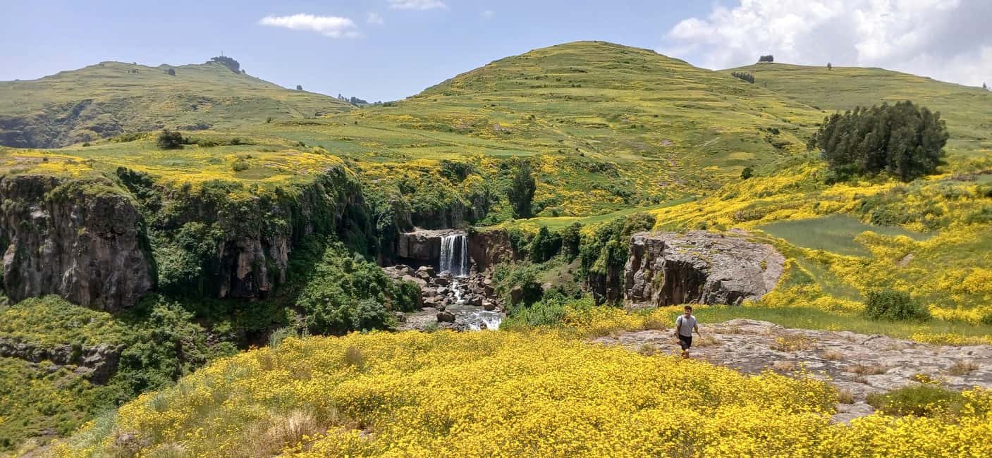 image n.33 of From Gondar: 2-Day Simien Mountains Trekking Tour activity in Gondar, uploaded by supplier