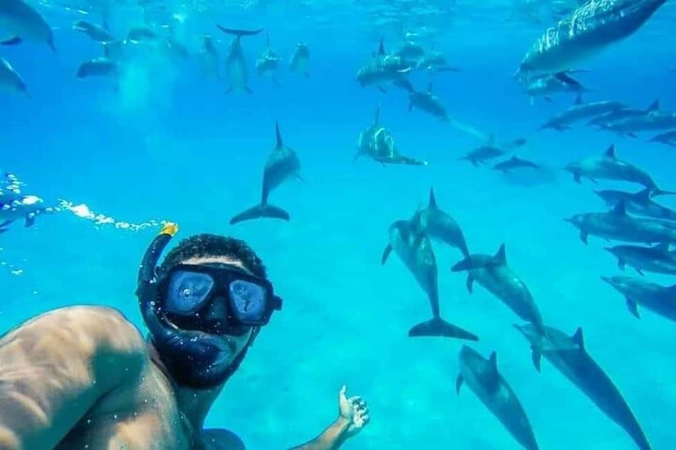 image n.2 of Hurghada: Dolphin & Coral Reef Snorkeling Tour with Lunch activity in Hurghada, uploaded by supplier