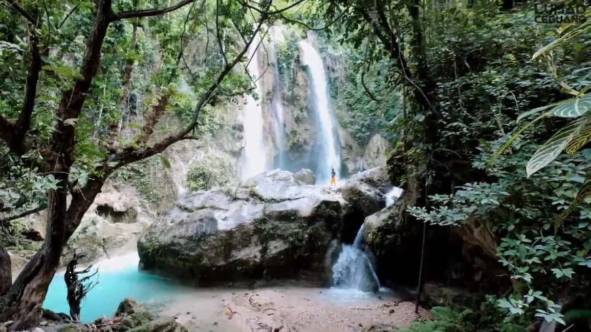 imagem n.6 de Oslob: Nadar com tubarões-baleia, Cataratas de Inambakan e excursão a Moalboal atividade em Oslob, carregada pelo fornecedor