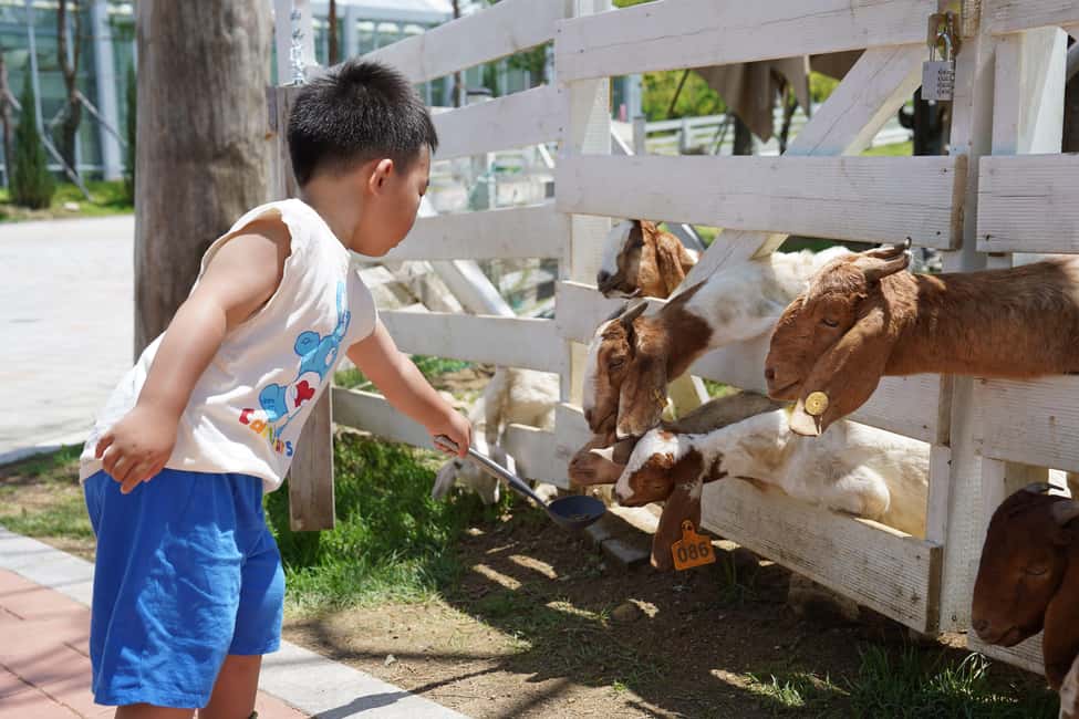 imagen n.º 13 de Seúl: Excursión de un día a la Isla de Nami y al Parque de las Aves de Begonia y Railbike actividad en Provincia de Gyeonggi, subida por el proveedor