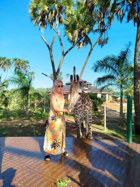 image n.1 of giraffe feeding activity in Diani, uploaded by supplier