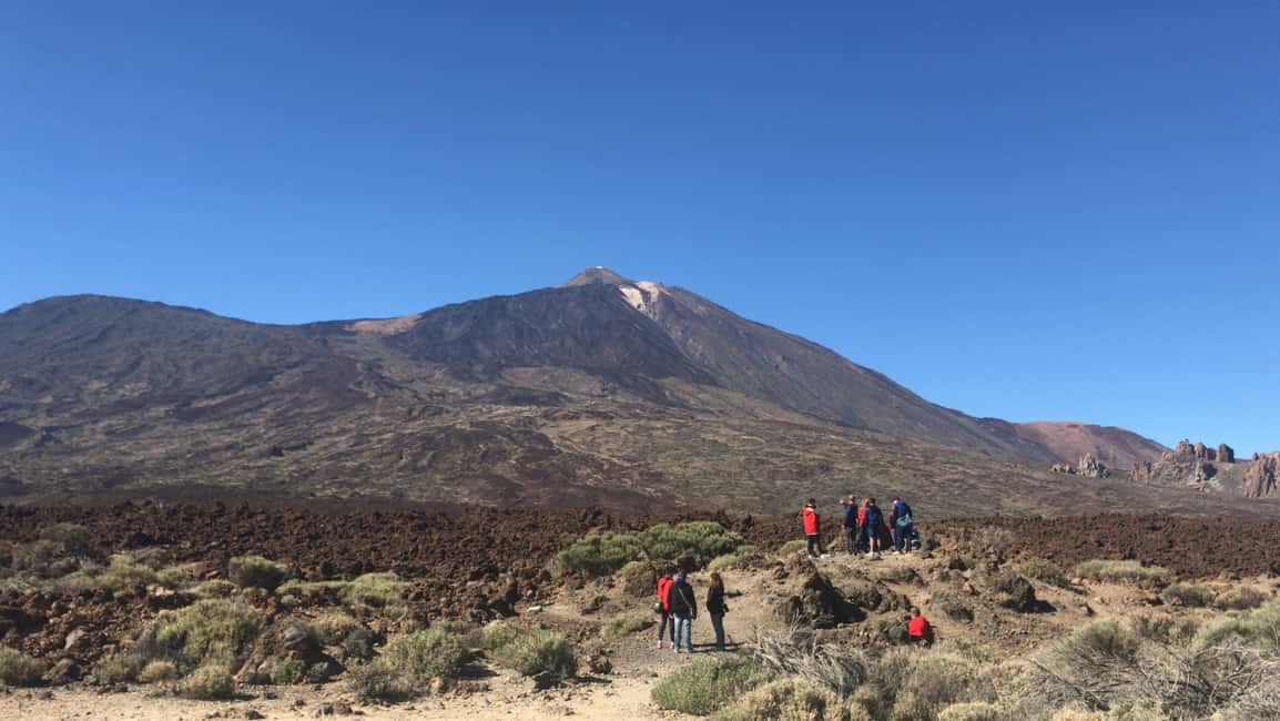 billede nr.7 af aktiviteten Tenerife: Buggy-tur i Teide Nationalpark med hoteltransfer i Kanarieøerne, uploadet af udbyder