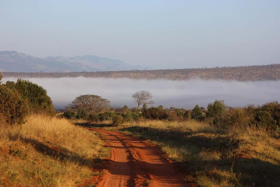 image n.10 of Mombasa: 3-Days 2-Nights Tsavo East and West Private Safari. activity in Coast Province, uploaded by supplier