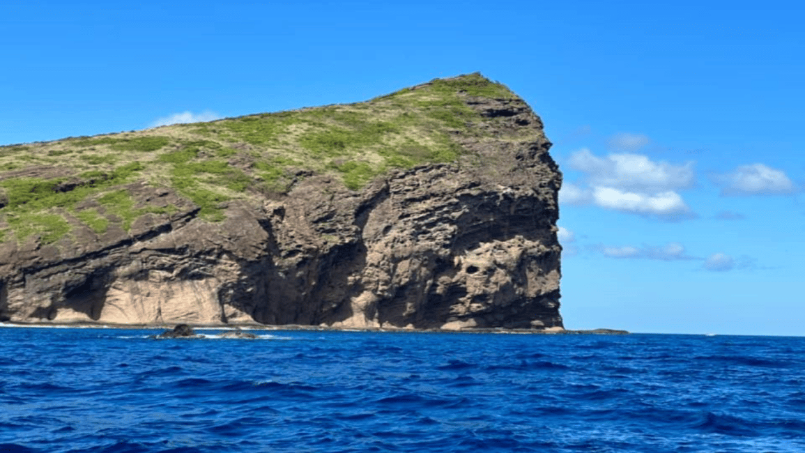 image n.4 of 3 Islands Private Speedboat w/ Lunch & Snorkeling Sea Turtle activity in Mauritius, uploaded by supplier