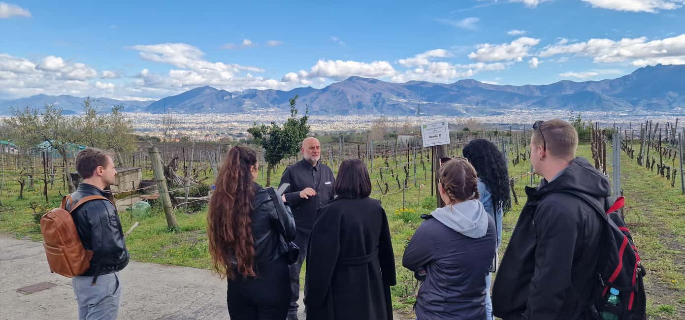 image n.14 of Naples: Pompeii and Herculaneum Tour with Tickets and Lunch activity in Ercolano, uploaded by supplier