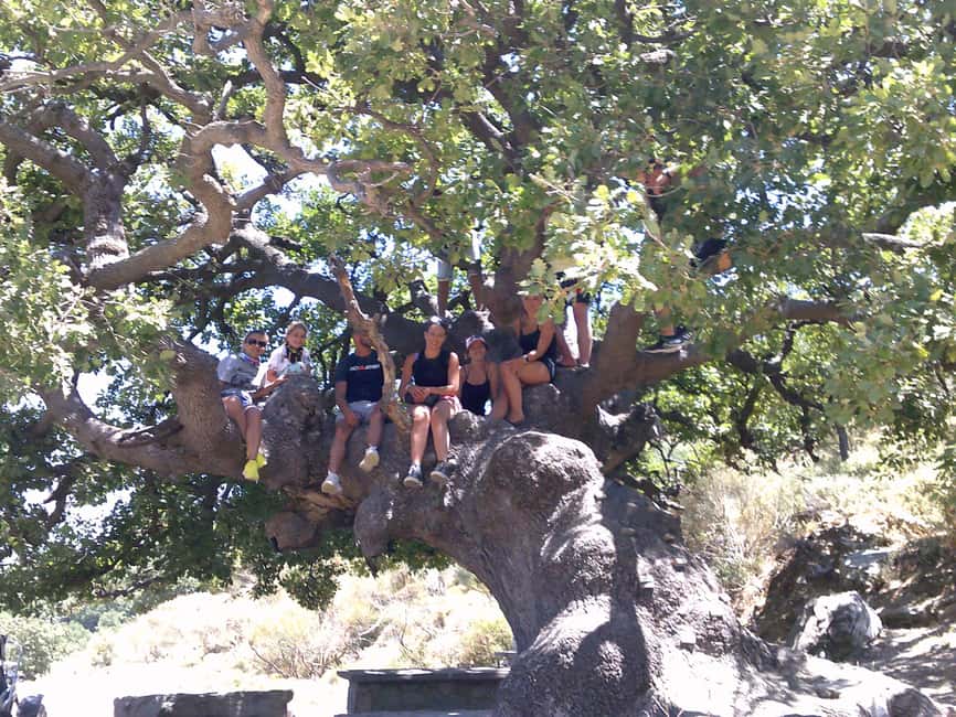 image n.10 of Buggy safari Crete (Transfer and lunch) analipsi- hersonisos activity in Neapolis, Crete, uploaded by supplier