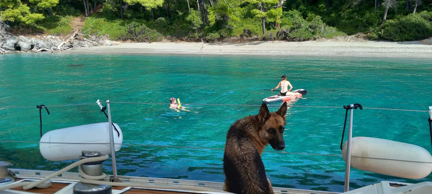 image n.25 of Skiathos: Day-Sailing Tour with Lunch on Board activity in Skopelos Town, uploaded by supplier
