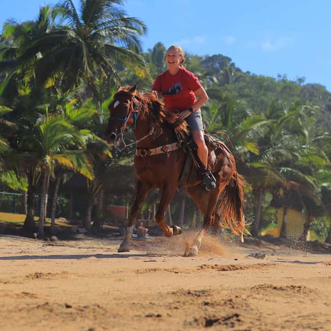 image n.11 of Sayulita: Horseback Riding Tour activity in Sayulita, uploaded by supplier