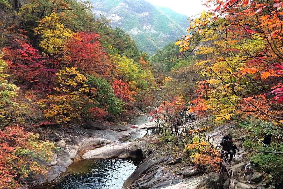 image n.2 of Seoul: Mt Seorak(Cable Car)+Sokcho Beach&Market+Observatory activity in Gangwon-do Province, uploaded by supplier