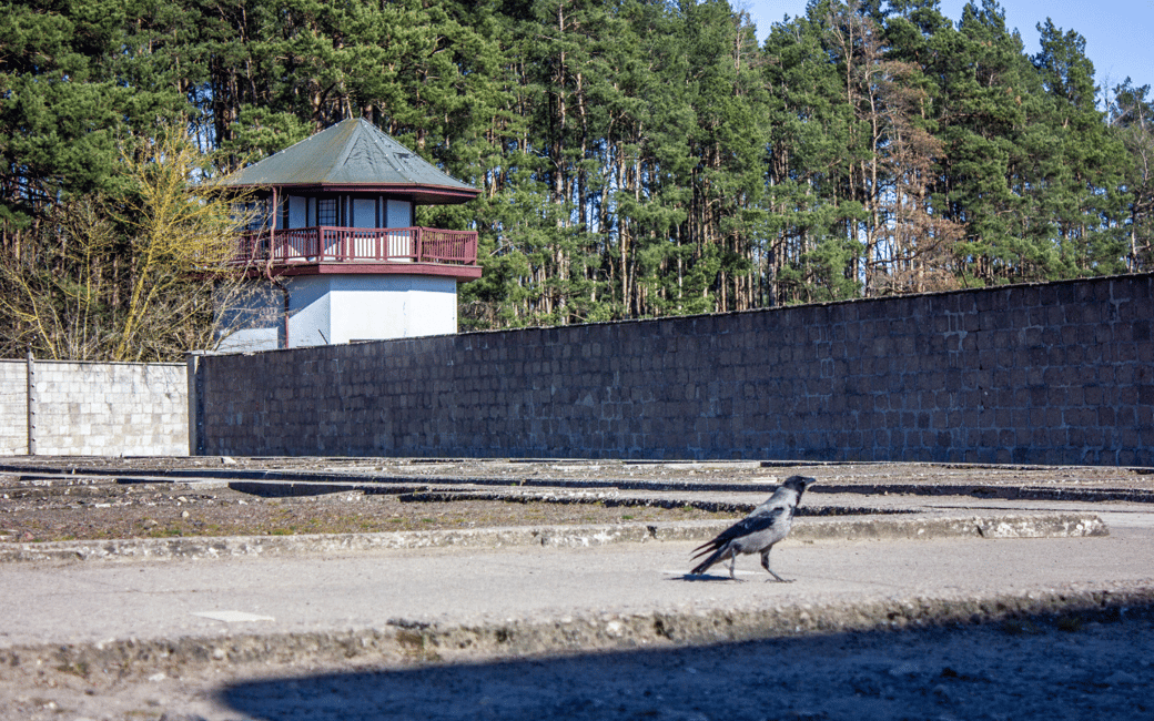 image n.35 of Berlin: Sachsenhausen Concentration Camp Museum Tour activity in Oranienburg, uploaded by supplier