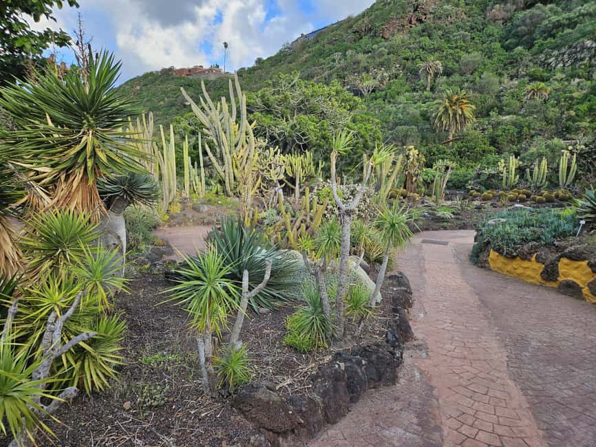image n.16 of Private Bandama Caldera, Botanic Garden(/Wine*), Old Town activity in Las Palmas, uploaded by supplier