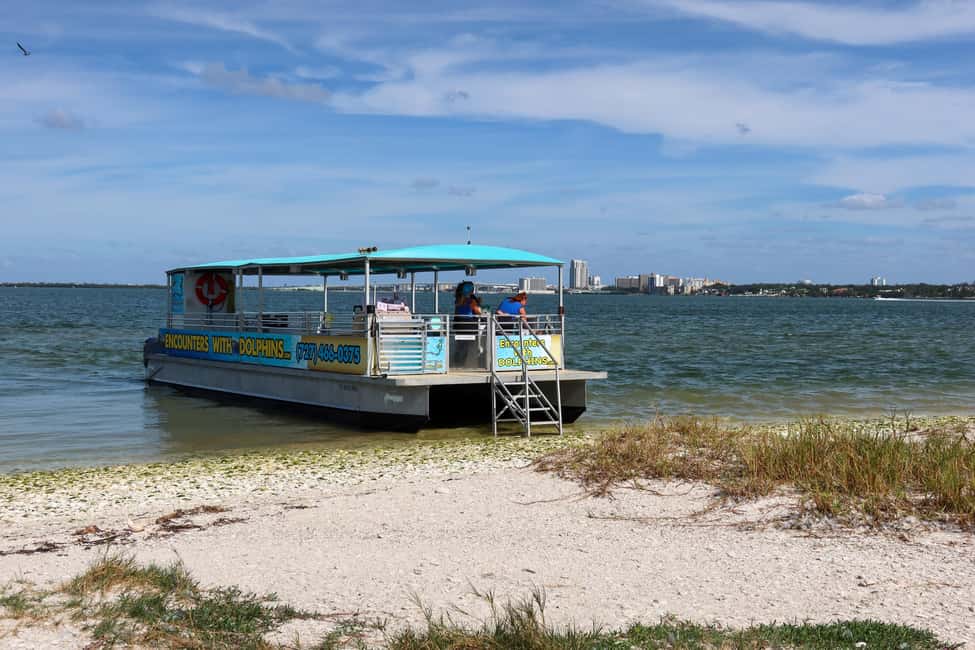 image n.9 of Clearwater: Dolphin Cruise with an Island Adventure activity in Clearwater, uploaded by supplier