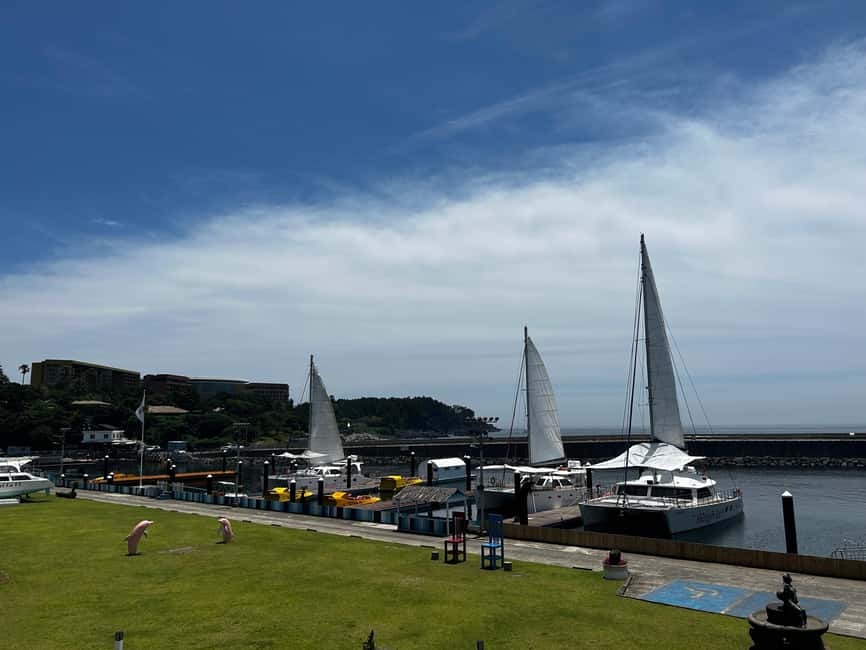image n.12 of Seogwipo Jungmun Area Walking Tour activity in Seogwipo-si, uploaded by supplier