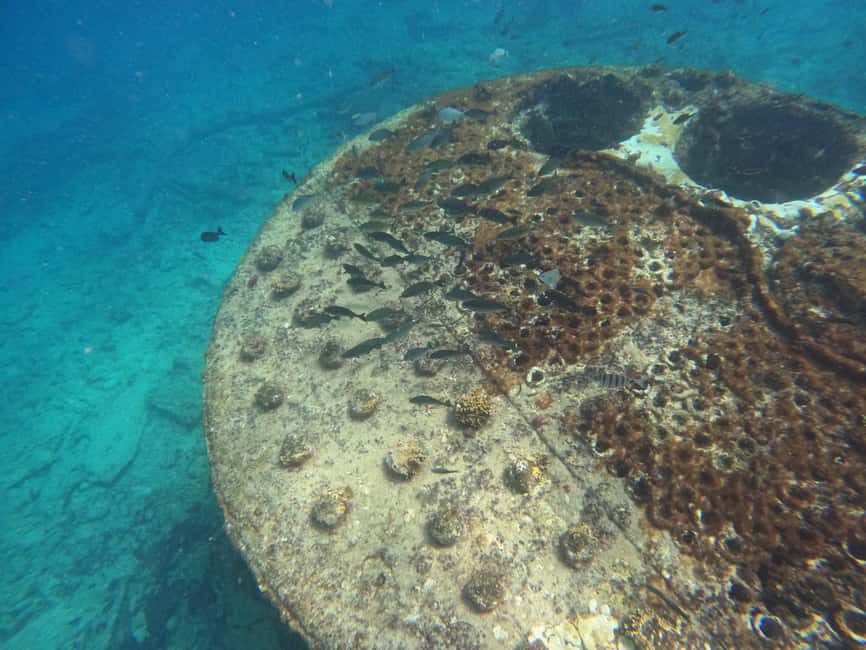 imagem n.8 de Passeio de snorkeling com guia local certificado atividade em Pedra de Lume, carregada pelo fornecedor