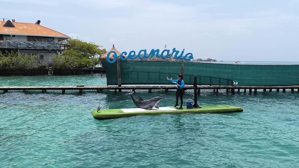 image n.5 of Caribbean Getaway: Rosario- Barú- Oceanarium & Tierra Bomba activity in Cartagena, uploaded by supplier